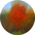 burningbush_sm.jpg